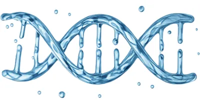 ADN Hidrodem
